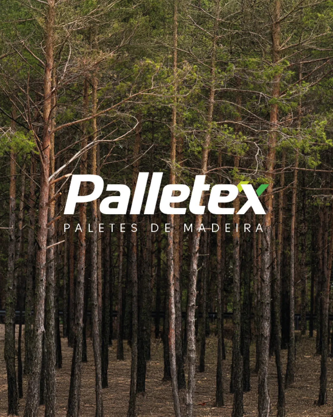 Case Palletex