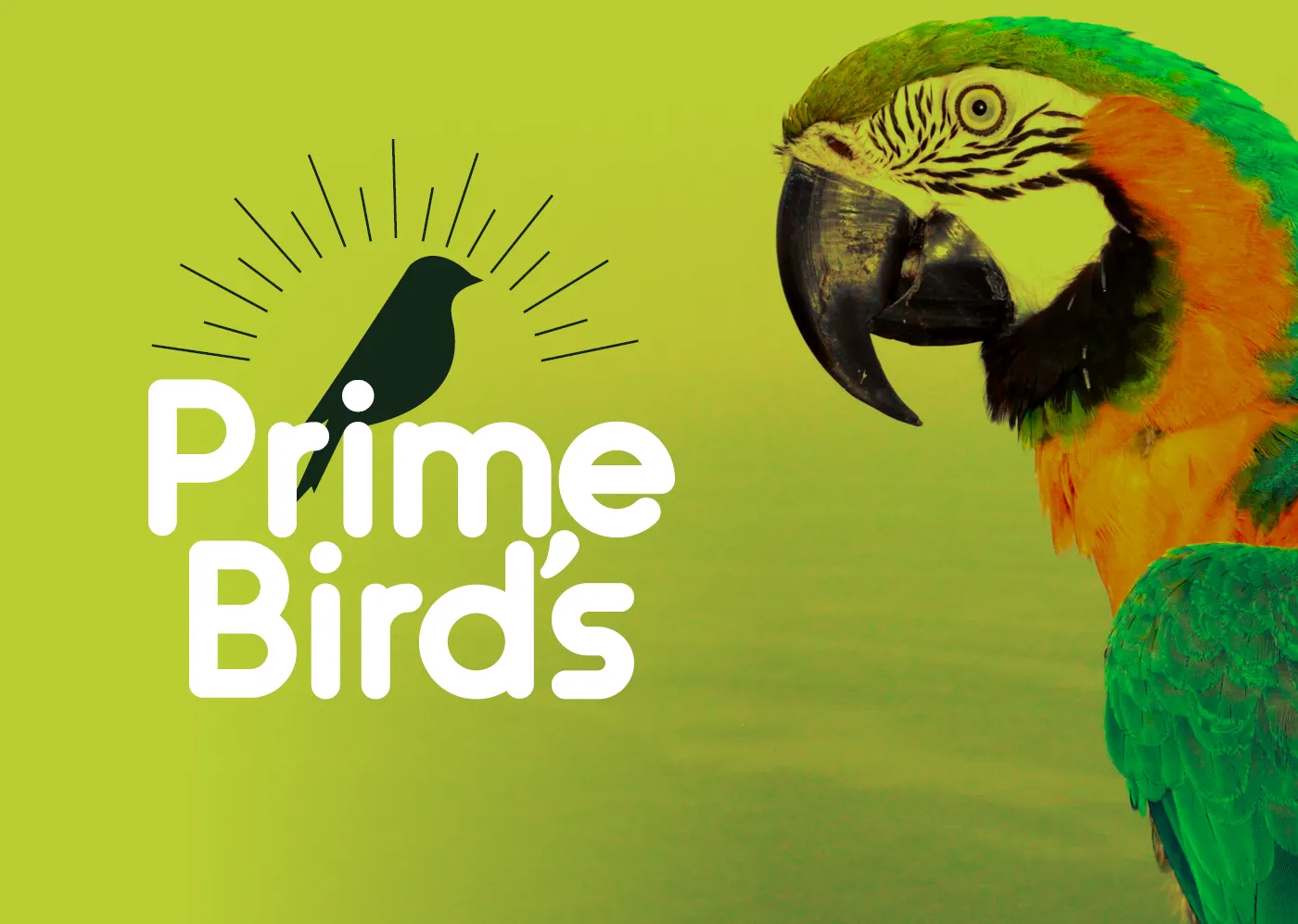 Prime Birds, imagem 4 de 4