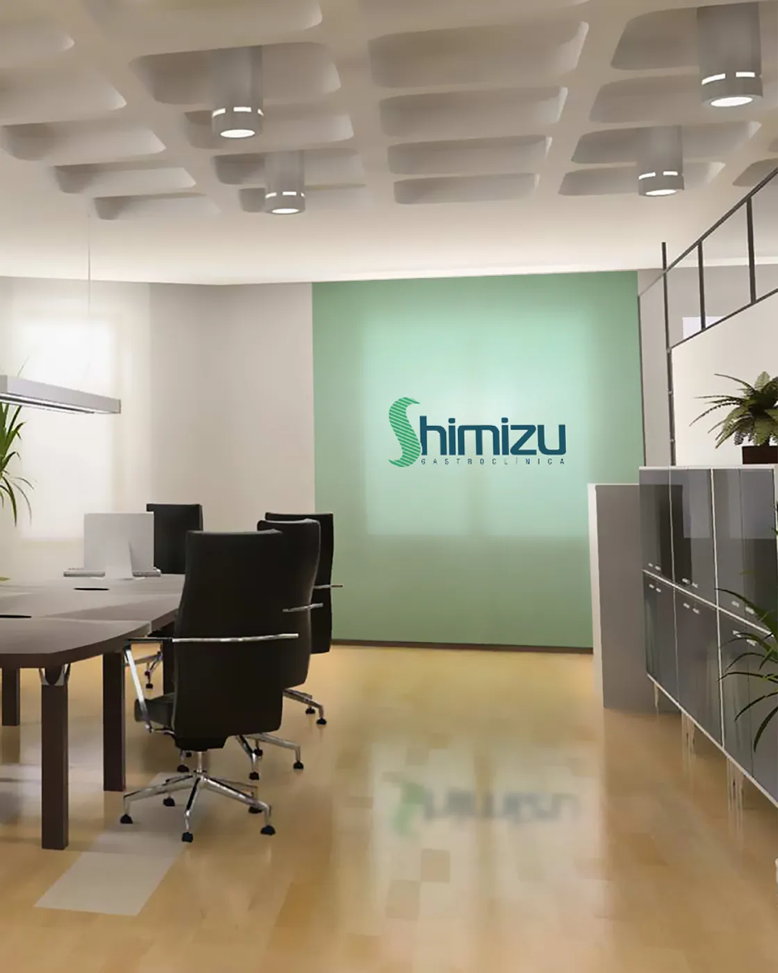 Case Shimizu Gastroclínica
